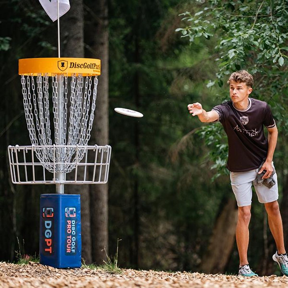 DiscGolfPark Pro Target Permanent